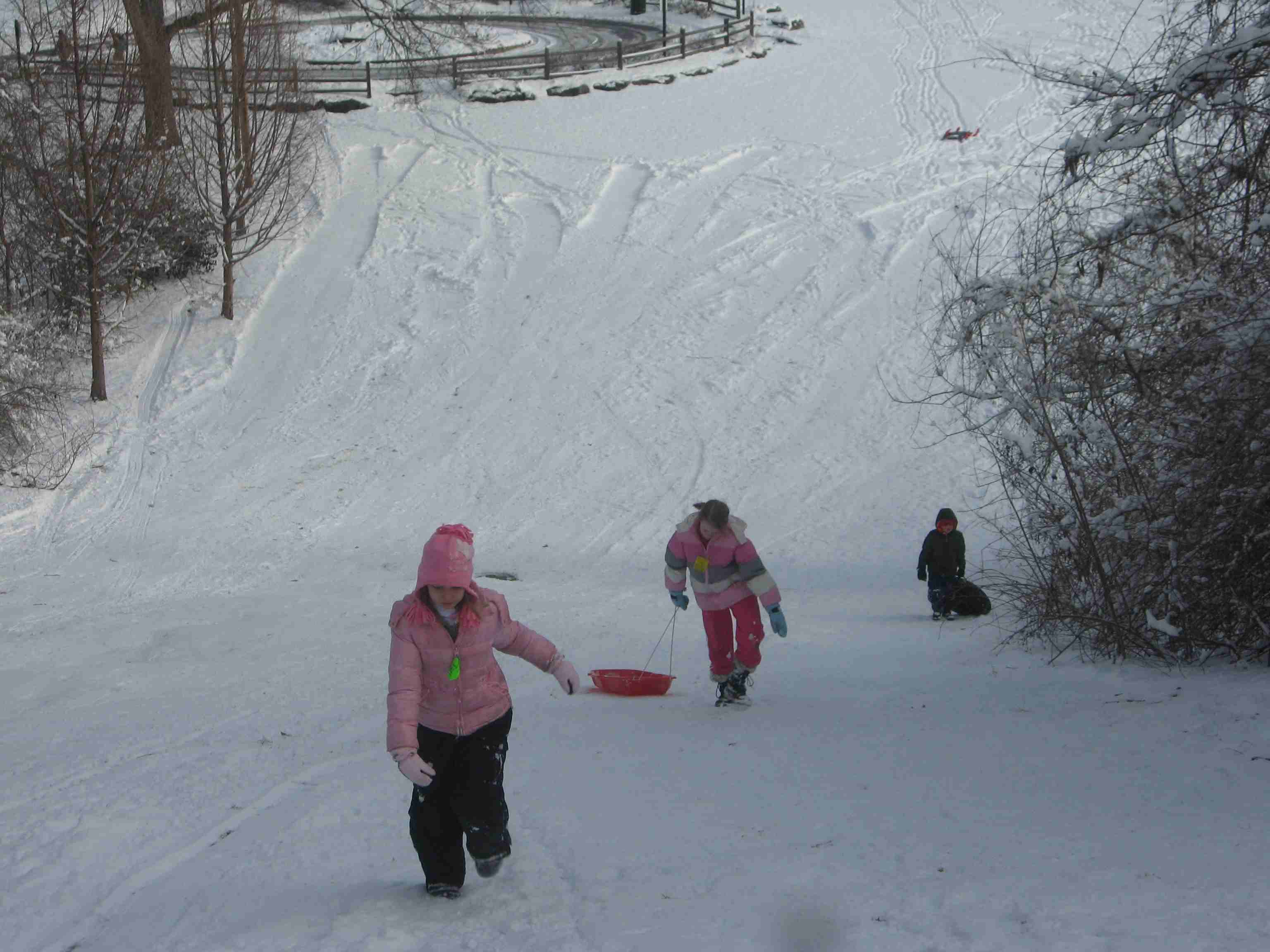 2013-02-03 CnJ hike back up suicide hill.jpg